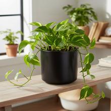 Čierny keramický kvetináč bez vzoru.