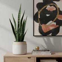 Biely keramický obal na kvetináče