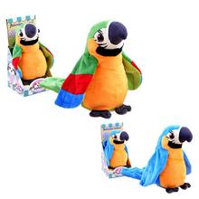 Papagáj rozpráva opakuje slová - FLORASYSTEM