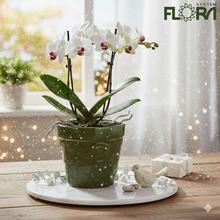 Zelený keramický obal s valčekom.