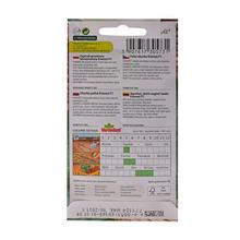 Semená uhorky Everest F1 3g