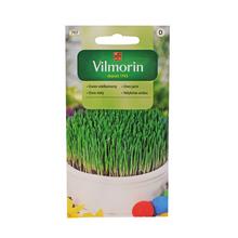 Semená ovsa siateho 5g