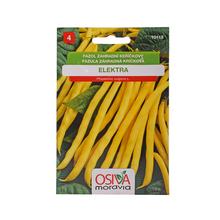 Semená fazule kríčkovej Elektra 15g.