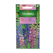 LUPINA LETNA 3g - FLORASYSTEM