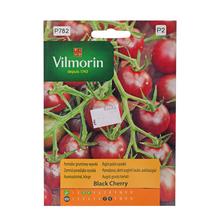 Semená rajčiaka Black Cherry