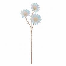 KS ASTRA METALOVÁ 60CM - FLORASYSTEM