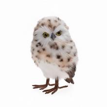 SOVA BIELO-HNEDÁ TEXTIL 14*15*23CM - FLORASYSTEM