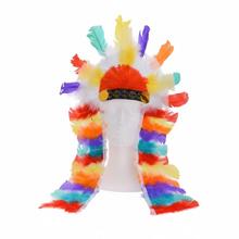 Čelenka Indiánska farebná - FLORASYSTEM