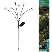 led Solár zápich kvietok/6hV70cm - FLORASYSTEM