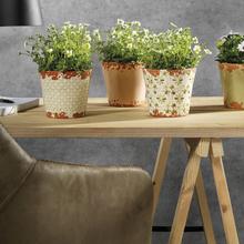 Obal jarný s terakotou mix 6 druhov