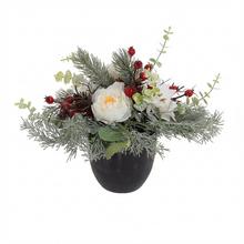 KVETINÁČ PIVONKY,POINSETIE BIE.,ČEČINA,ZELEŇ 20CM - FLORASYSTEM