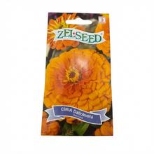 CÍNIA DÁHLIOKV ORANŽOVÁ 0,8g - FLORASYSTEM