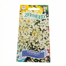 GYPSOMILKA BIELA TRVALKA 0,8g  - FLORASYSTEM