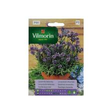 Levanduľa lekárska 0,2g - FLORASYSTEM