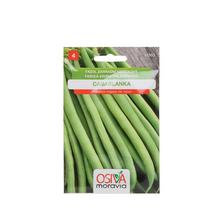 Semená fazule Casablanca kríčková zelená 20g