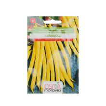 FAZUĽA BERGGOLD kríčk.žltá 20g - FLORASYSTEM