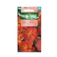 Semená krasuľky Diablo 1g