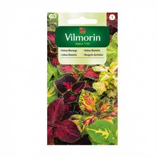 KOLEUS 0,2g - FLORASYSTEM