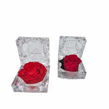 Ruža preparovaná v krabičke ČERVENÁ/ks - FLORASYSTEM