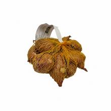 CIBUĽA SADIAČKA šalotka LONGOR 250g - FLORASYSTEM