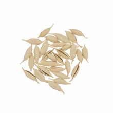 Sušené bielené materiály na aranžovanie