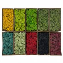 Mach moss preparovaný- box 500g so SOBOM - FLORASYSTEM