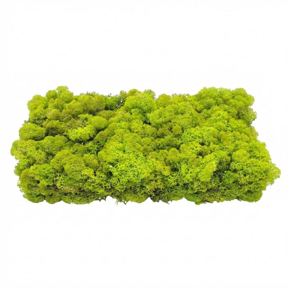 Preparovaný mach v boxe 500g so SOBOM