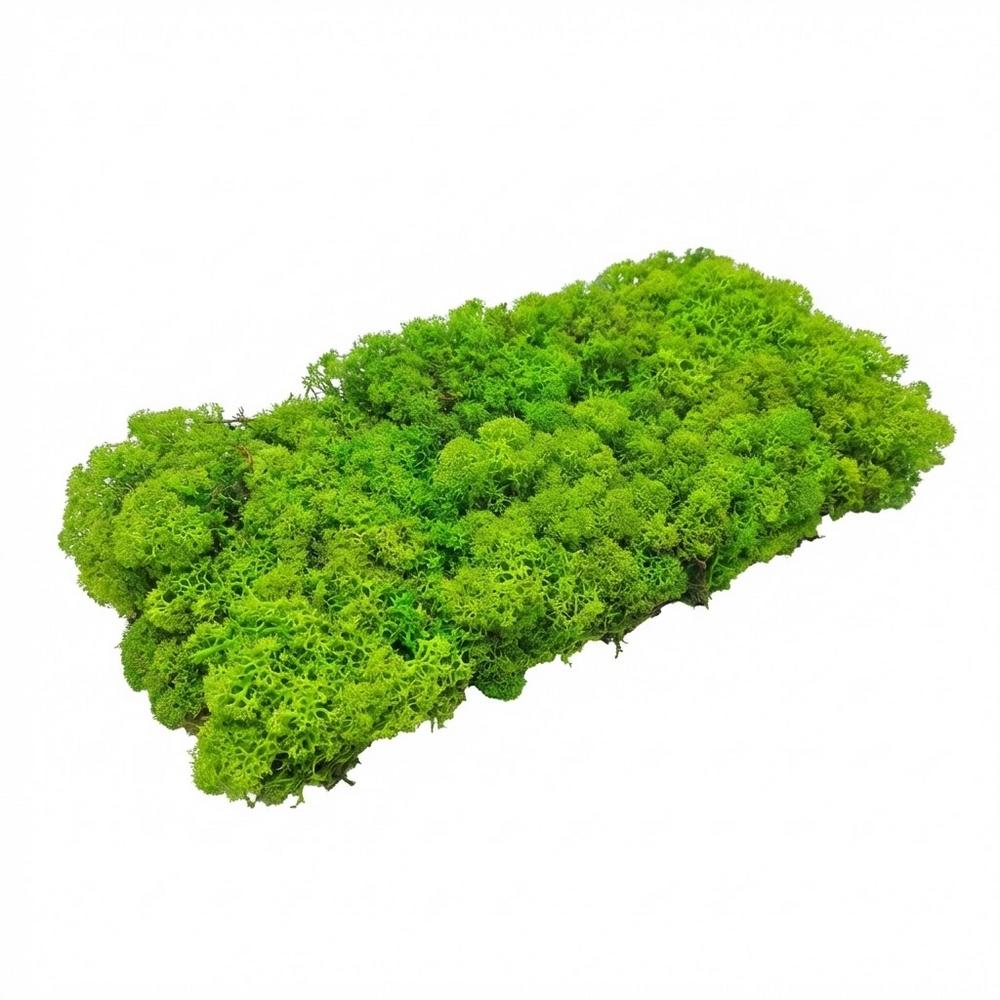 Preparovaný mach v boxe 500g so SOBOM