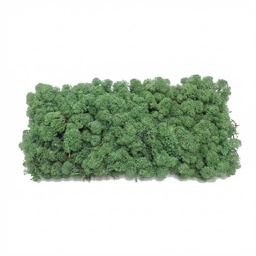 Preparovaný mach v boxe 500g so SOBOM