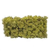 Preparovaný mach v boxe 500g so SOBOM