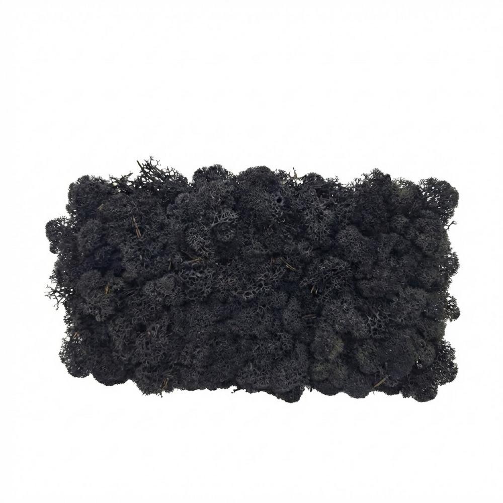 Preparovaný mach v boxe 500g so SOBOM