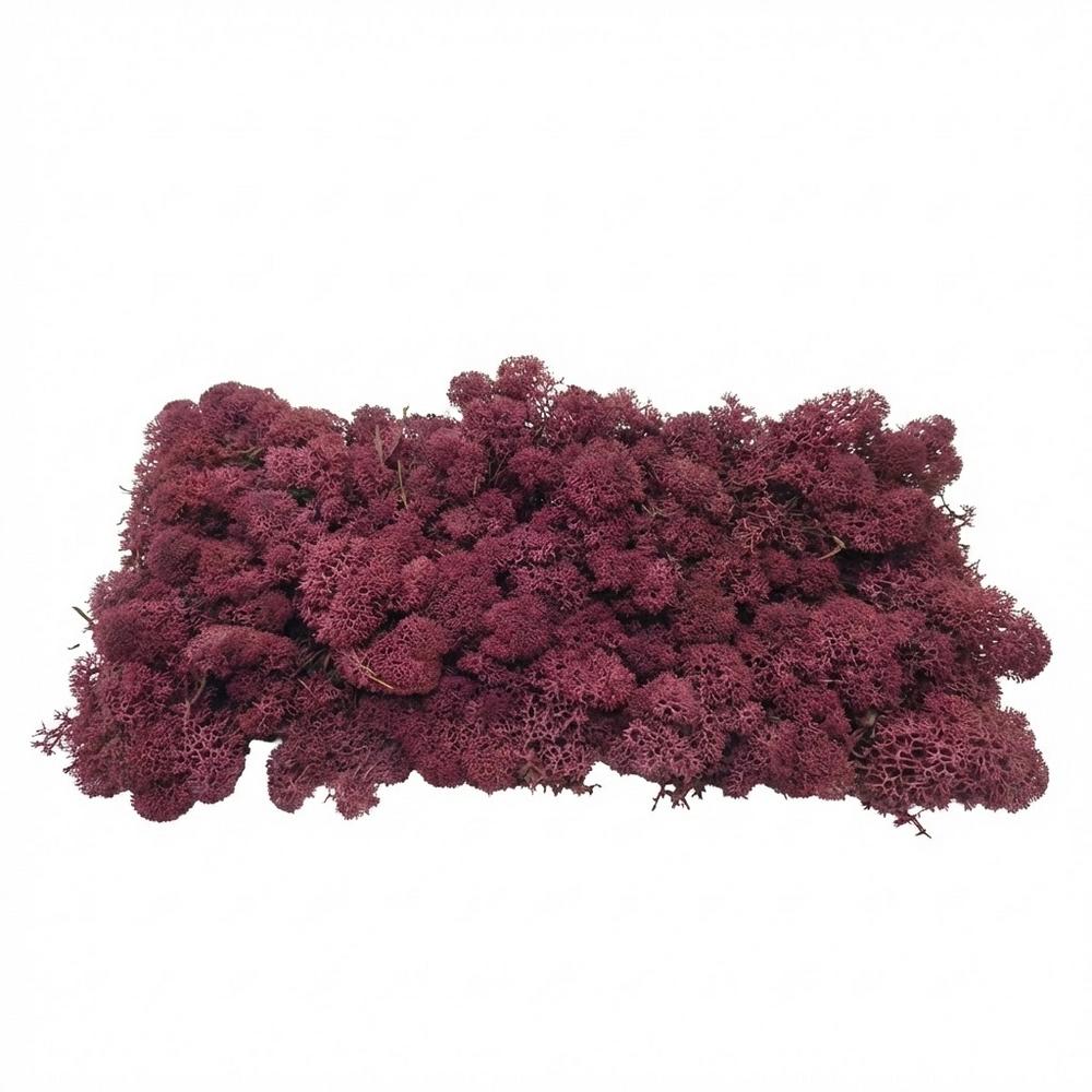 Preparovaný mach v boxe 500g so SOBOM