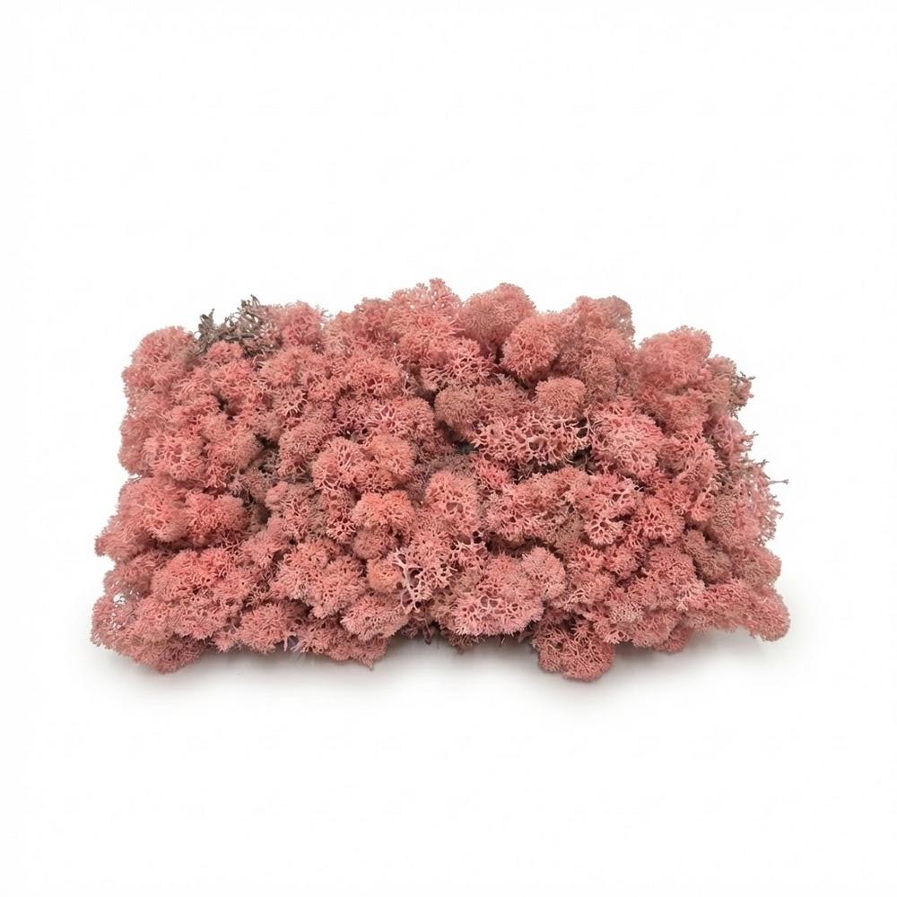 Preparovaný mach v boxe 500g so SOBOM