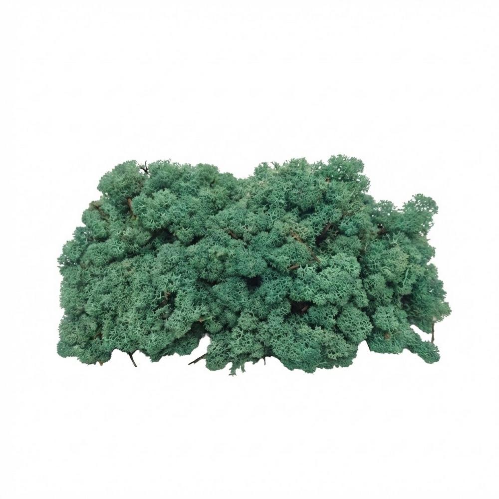 Preparovaný mach v boxe 500g so SOBOM