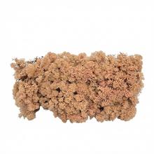 Preparovaný mach v boxe 500g so SOBOM