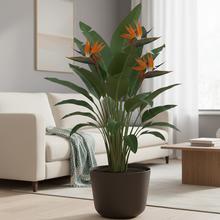 DGTL300LW OBAL GRACIA TUBUS ECO WOOD KAVA ECO 29,8CM