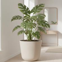 DGTL300LW OBAL GRACIA TUBUS ECO WOOD BIELA 29,8CM