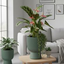 Obal na kvetináč tmavo zelený s vkladom.