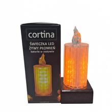 SVET.LED ŽIVÝ PLAMEŇ /2/25/WZP-BAT - FLORASYSTEM