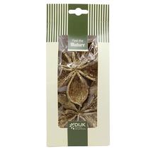 Landlotus nature 10x5x22cm 4pc - FLORASYSTEM