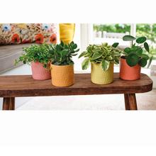 Kameninový kvetináč slniečko 4ass