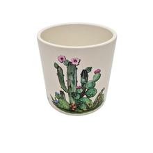 OBAL KAKTUS RUŽOVÝ 11,3XV11,6CM