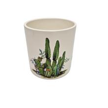 OBAL KAKTUS ZELENÝ  13,2XV13,8CM