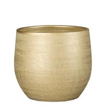 Obal Marcus šampaň v14/pr.16cm - FLORASYSTEM