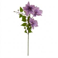 KS CLEMATIS BLEDO FIALOVÝ 66CM - FLORASYSTEM