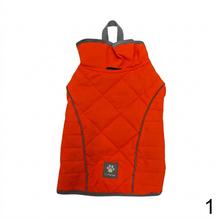 Neónová vesta pre psa v oranžovej a zelenej farbe.