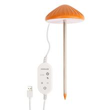 Lampa na rastliny s farebným dizajnom umiestnená pri rastline.