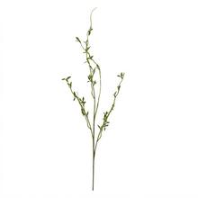 KONÁR VŔBA, ZELENÉ LÍSTKY 111CM - FLORASYSTEM