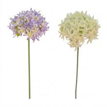 KS CESNAK MIX/2F 70CM - FLORASYSTEM