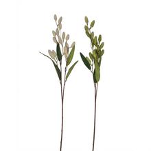 KONÁR TRÁVY MIX/2F 72CM - FLORASYSTEM